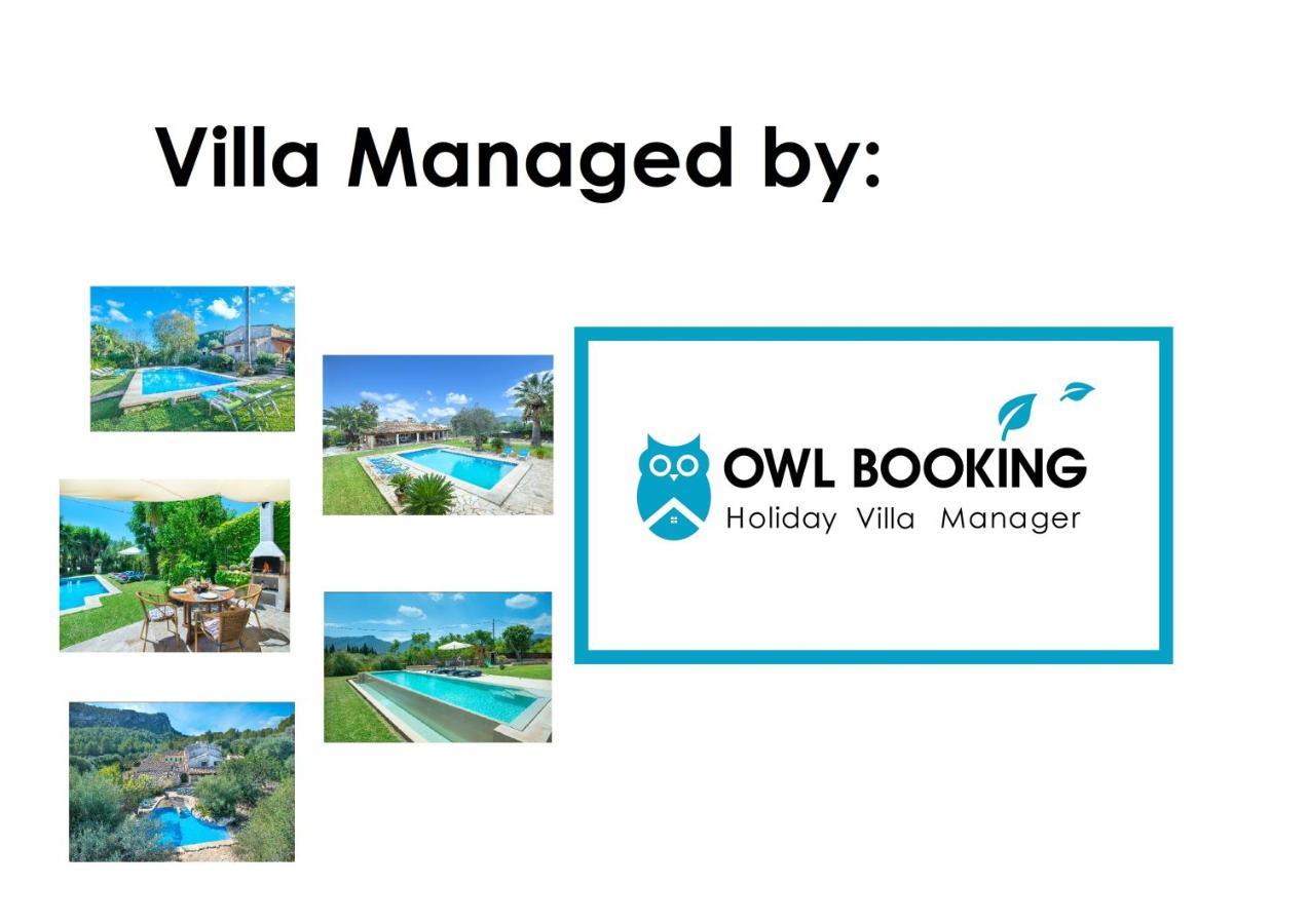 Owl Maria - Family And Friends Port de Pollenca